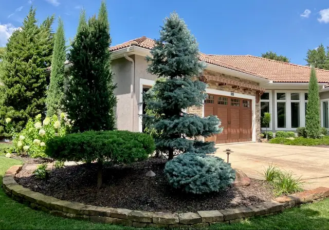 royal tree service about us home with pruned ornamental trees